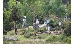 Boş araziyi su getirip, 500 ağaçlı meyve bahçesine çevirdi