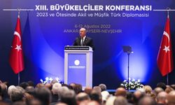 Çavuşoğlu: Ermenistan'ı provokasyonlara girmemesi konusunda uyarıyoruz