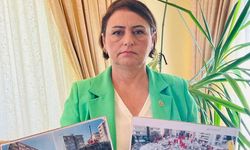 CHP'li Şevkin: Depremde siyaset üstü davranılması gerekmektedir