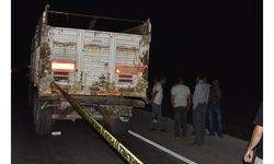 Ehliyetsiz sürücünün kullandığı kamyonet, TIR'a çarptı: 3 ölü