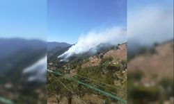 Kahramanmaraş'ta orman yangını