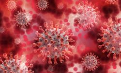 Maymun çiçeği, Kovid-19 ve HIV’in aynı anda bulunduğu vaka