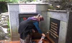 Rize’de şifalı bilinen suda arsenik oranı 27 kat fazla çıktı