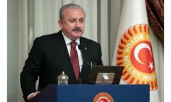 TBMM Başkanı Şentop'tan 'Malazgirt Zaferi' ve 'Büyük Taarruz' mesajı