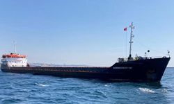 Ukrayna'dan 3 bin 500 ton buğday taşıyan gemi, Tekirdağ açıklarında