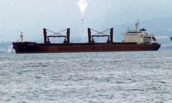 Ukrayna'dan 48 bin 458 ton mısır taşıyan gemi, İskenderun Körfezi'nde