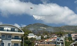 Alanya'da orman yangını; 3 saatte söndürüldü