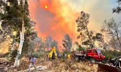 Antalya'daki orman yangınında 15 hektar zarar gördü