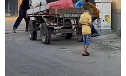 Atı yumruklayan seyyar satıcı yakalandı