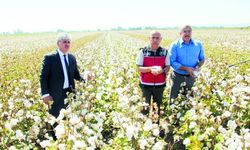 Bakan Kirişci: Dekar başına 76 lira olan desteği, 271 liraya yükselttik