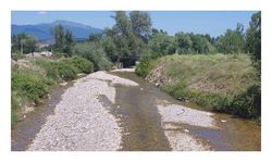 Bolu'da 1 kişinin öldüğü zehirlenme vakalarında hastanede 5 hasta kaldı
