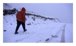 Doğu Karadeniz'de yaylalar beyaza büründü