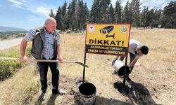 Fotokapanlar ormanın gözü oldu; yasa dışı faaliyetler de tespit edildi