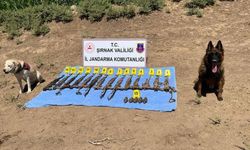 İçişleri: Şırnak'ta toprağa gömülü çok sayıda silah ve bomba ele geçirildi