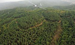 İnsansız hava araçlarıyla dakikada 12,5 milyon hektar orman taranıyor