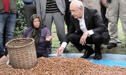 Kılıçdaroğlu, Giresun'da