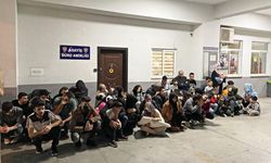 Marmaris'te, apart ve otellerde 85 kaçak göçmen yakalandı