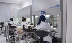 OGM’ye bağlı ilk ‘Doku Kültürü Laboratuvarı’ seri üretime başladı
