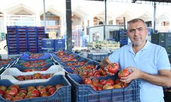 Örtü altı üretim düşünce Avrupalı Antalya'ya yöneldi
