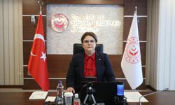 'Pandemide hayatını kaybeden yaşlı oranı yüzde 4,4'