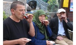 'Rize Çayı'na 98 yıl sonra tescil