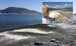 Salda'da 'salyalaşma' ve 'kararma' uyarısı