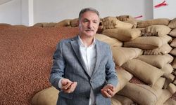 TMO Genel Müdürü Güldal: Günlük 2 bin 500- 300 bin ton fındık alımı yapılıyor
