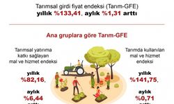 TÜİK: Tarımsal girdi fiyat endeksi, yıllık yüzde 133,41 arttı