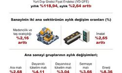 TÜİK: Yurt dışı üretici fiyat endeksi yıllık yüzde 118,84 arttı