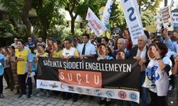 3 kardeşin darbettiği doktor: Neden bu öfke, şiddet