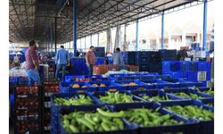 Batı Akdeniz ihracatında 2 milyar dolar sevinci