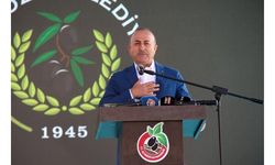 Çavuşoğlu: Ara buluculuk faaliyetlerimiz artık dünyada bir marka