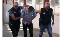 DEAŞ'ın sözde 'savaşçı' militanı tutuklandı