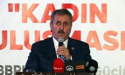 Destici: Anayasa değişikliği teklifimiz meclise gelince şapka düşecek, kel görünecek