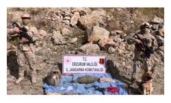 Erzurum'da menfeze tuzaklanan patlayıcı imha edildi
