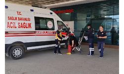 Mantardan 23 kişi zehirlendi, uyarı yapıldı