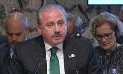 Meclis Başkanı Şentop, Kırım Platformu Birinci Parlamenter Zirvesi’nde konuştu