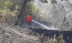 Osmaniye'de orman yangını: 50 dekar alan zarar gördü