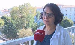 Prof. Dr. Yavuz: Bu kış bol virüslü geçecek