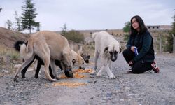 Sokak hayvanlarına 'Hayat' oluyor
