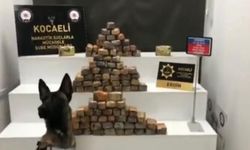 TIR'a gizlenen 45 kilo eroin ile 1 kilo 200 gram afyon sakızı ele geçirildi