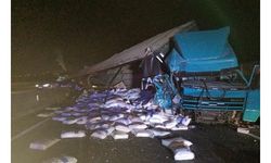 TIR, yol kenarındaki kamyona çarptı: 1 ölü, 2 yaralı