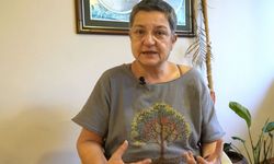 TTB Başkanı Şebnem Korur Fincancı, tutuklandı