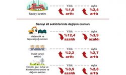 TÜİK: Sanayi üretimi yıllık yüzde 1 arttı