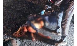 Yol kenarında kadın cesedi bulundu