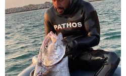 Zıpkınla 35 kiloluk akya balığı avladı