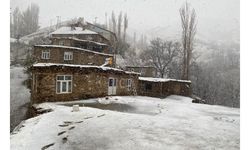 Bahçesaray'ın yükseklerinde kar kalınlığı 20 santimi buldu