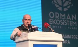 Bakan Kirişci: Bu yıl 12 bin 384 hektar alan yandı