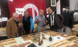 Balıkçılığa olan sevdasını sergiye çevirdi