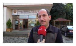 Doğu Karadeniz'de 'katil arı'ya karşı 30 bin böcekle mücadele